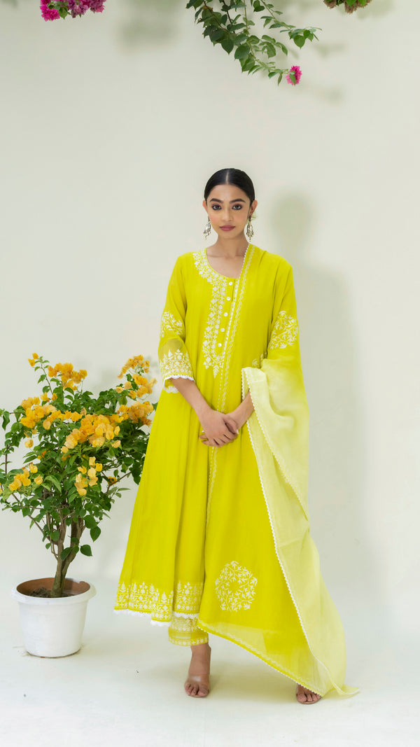 Parchhai Anarkali Set (Lime Green)